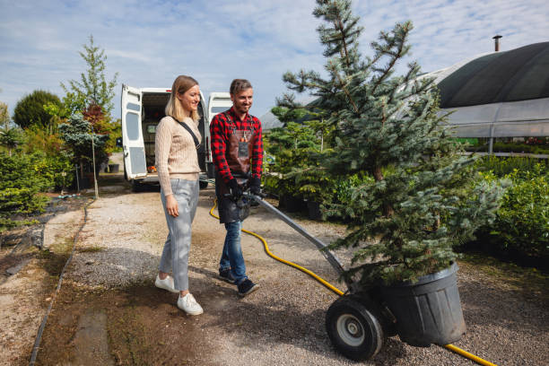 Organic Lawn Care Solutions in Ruston, WA